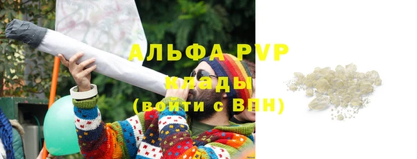 гашик Инсар