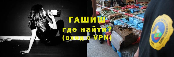 твердый Инта