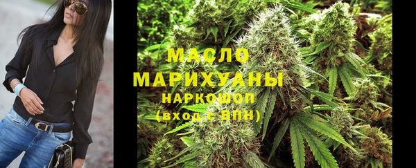 гашик Инсар