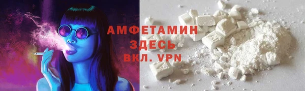 твердый Инта