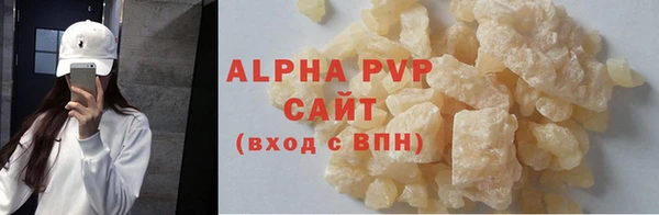 твердый Инта