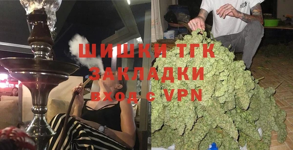 твердый Инта