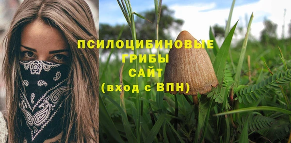 гашик Инсар