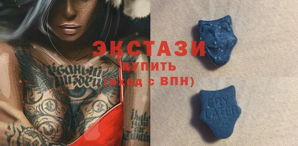 твердый Инта