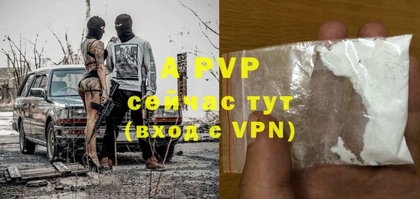 твердый Инта