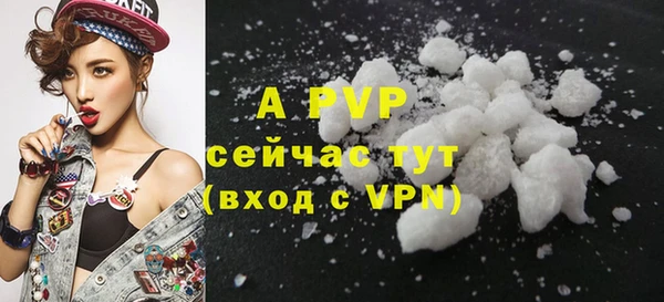 гашик Инсар