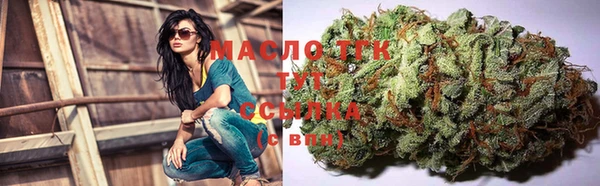 гашик Инсар