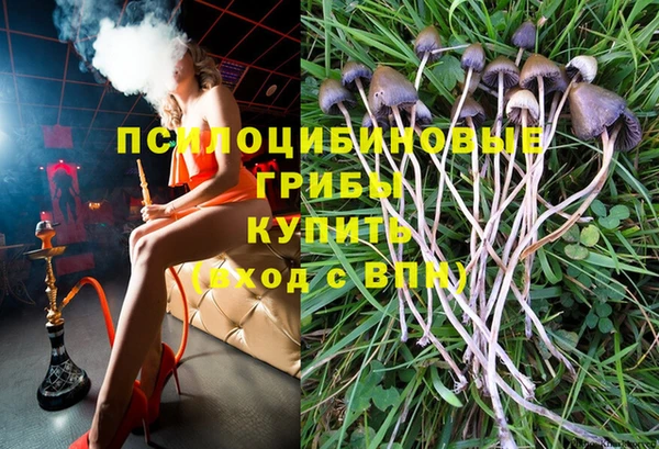 гашик Инсар