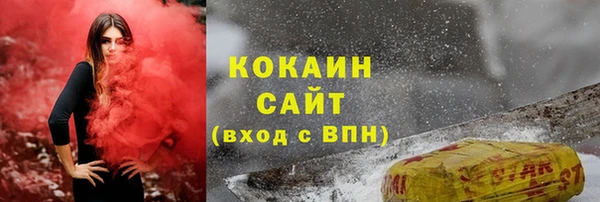 гашик Инсар